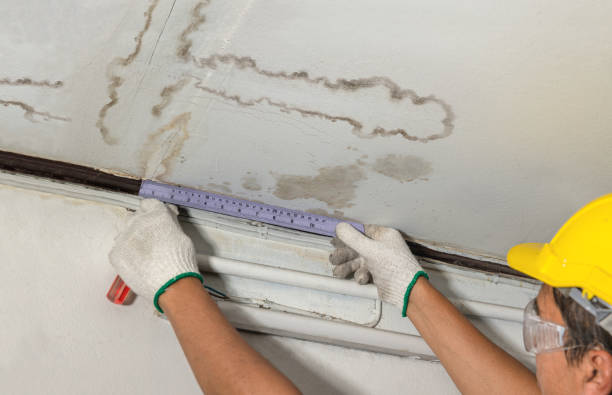 Reliable Water Damage contractor in Bucyrus, KS by Water Damage Irwin